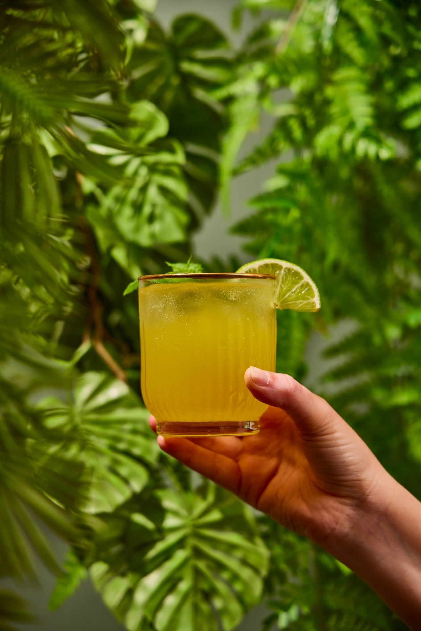 Glass of a Heyu Passion Lime mocktail with plants in the background