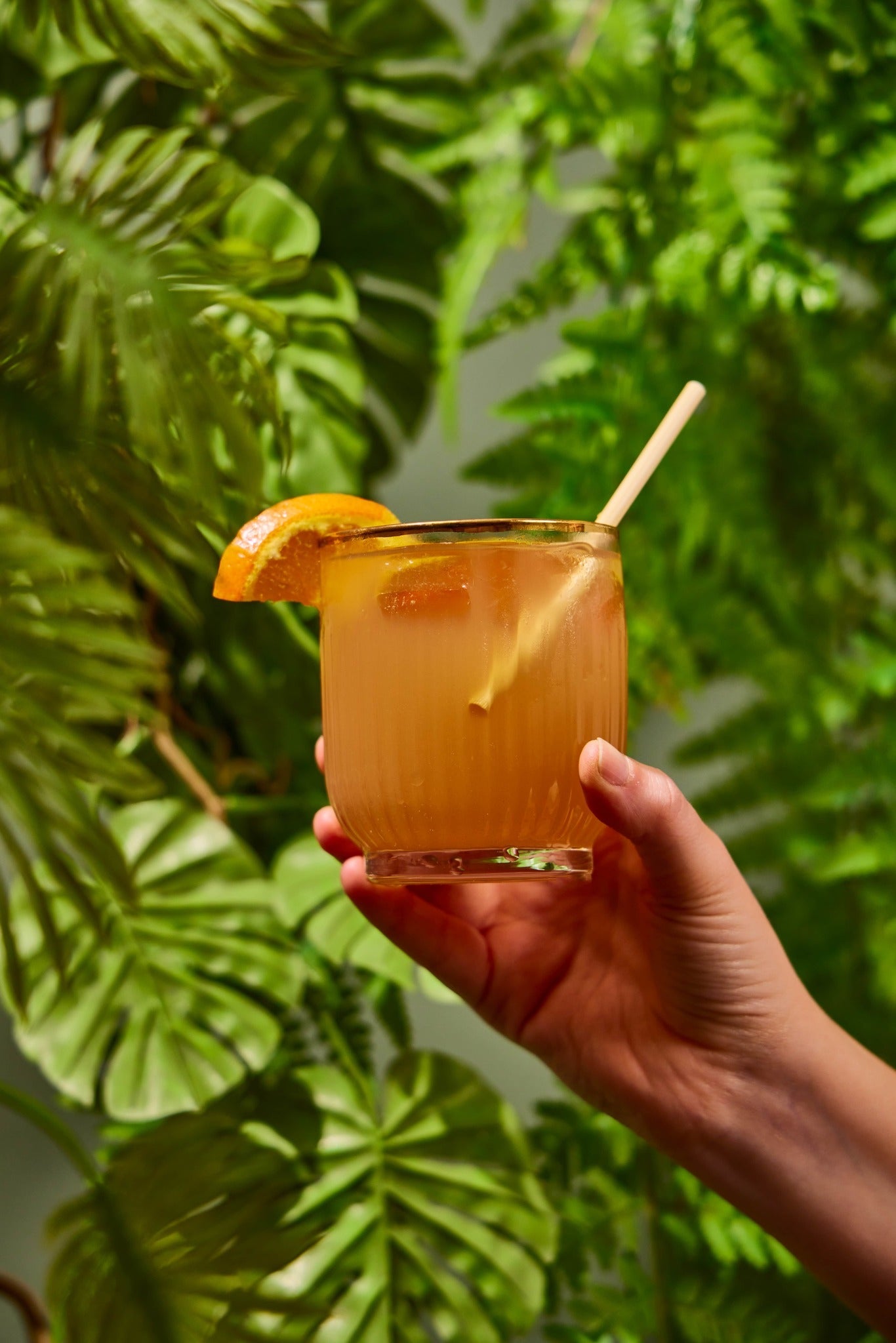 Glass of a Heyu Citrus Bitter mocktail with plants in the background